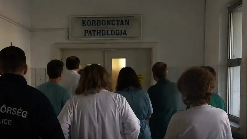 Halottnak nyilvánították a nénit, de a budapesti patológián felébredt