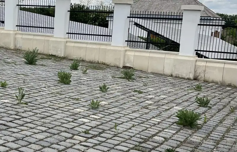 Szörnyűséget fotóztak Hatvanpusztán, döbbenetes mi történt a csodálatos majorsággal