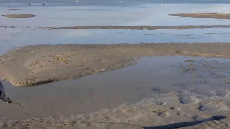 Apokaliptikus képek érkeztek a Balatonról, az Aranypart kiszáradt