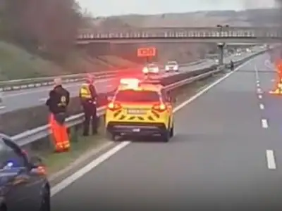 Rohantak a mentők és a tűzoltók: nyolc autó rohant egymásba az M7-esen