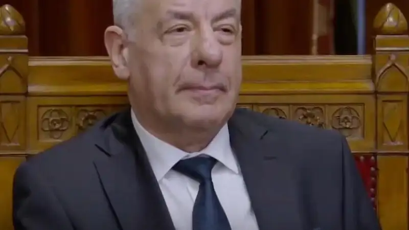 Sulyok Tamás alkotmányt sérthetett, megkezdődik az eltávolítása