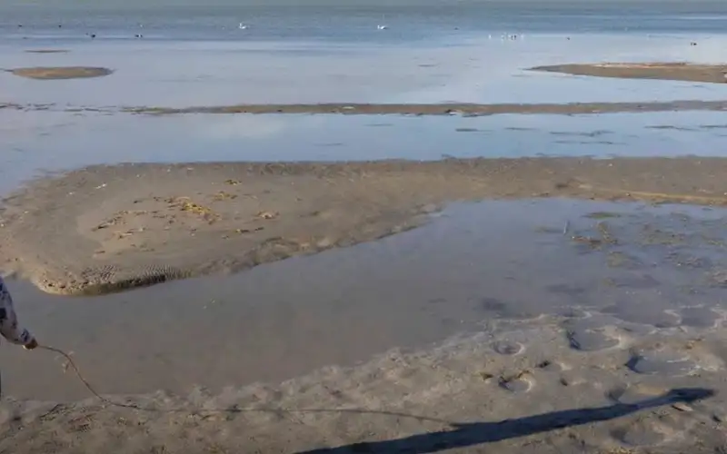 Apokaliptikus képek érkeztek a Balatonról, az Aranypart kiszáradt