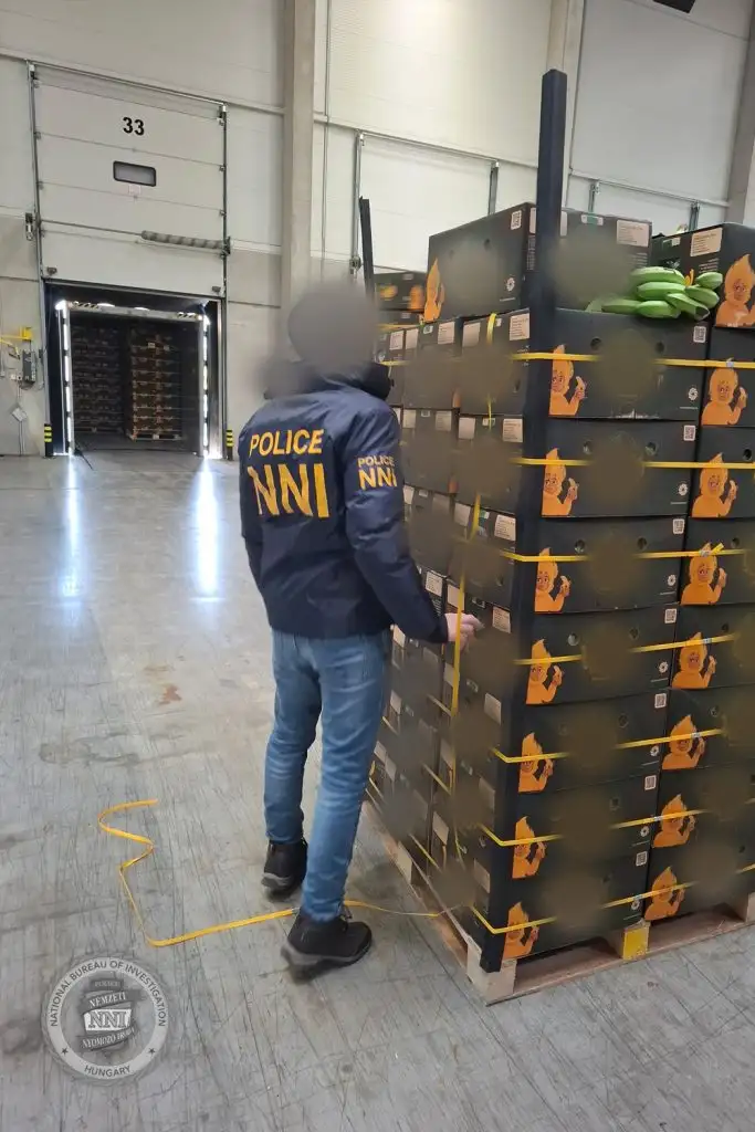 Minden idők legnagyobb magyar kokainfogása: 522 kiló drogot találtak a rendőrök Csepelen