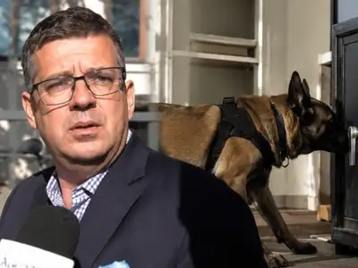 Egy nyomkereső kutya kiszagolt valamit Seszták Miklós széfjénél