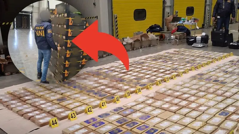 Minden idők legnagyobb magyar kokainfogása: 522 kiló drogot találtak a rendőrök Csepelen